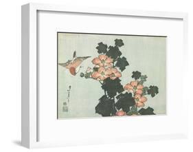 Rose Mallow and Sparrow, C. 1832-Katsushika Hokusai-Framed Giclee Print