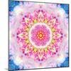 Rose Mandala Ornament-Alaya Gadeh-Mounted Photographic Print