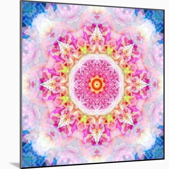 Rose Mandala Ornament-Alaya Gadeh-Mounted Photographic Print