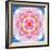 Rose Mandala Ornament-Alaya Gadeh-Framed Photographic Print