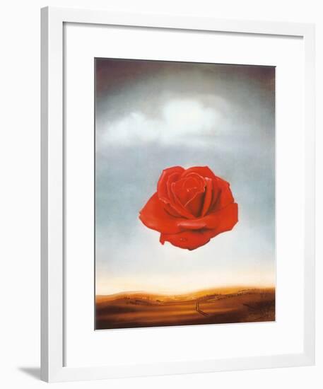 Rose Meditative, c.1958-Salvador Dalí-Framed Art Print