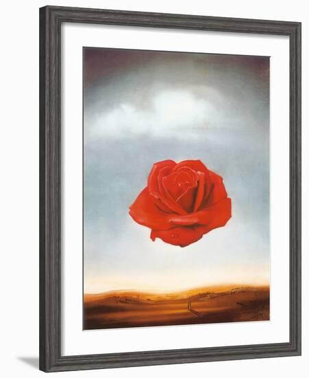 Rose Meditative, c.1958-Salvador Dalí-Framed Art Print