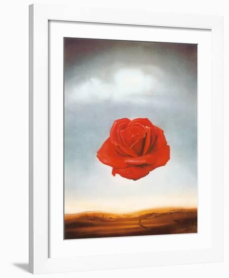 Rose Meditative, c.1958-Salvador Dalí-Framed Art Print