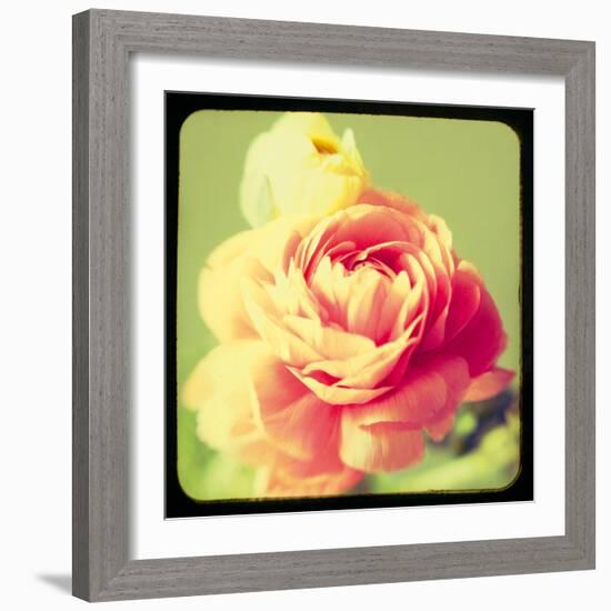 Rose Mist-Irene Suchocki-Framed Giclee Print