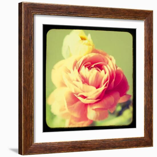 Rose Mist-Irene Suchocki-Framed Giclee Print