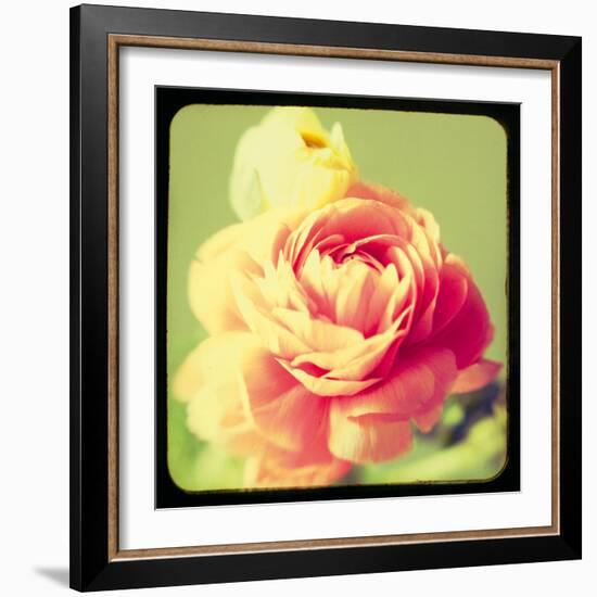 Rose Mist-Irene Suchocki-Framed Giclee Print