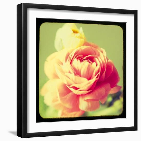 Rose Mist-Irene Suchocki-Framed Giclee Print