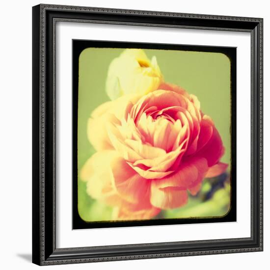 Rose Mist-Irene Suchocki-Framed Giclee Print