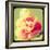 Rose Mist-Irene Suchocki-Framed Giclee Print