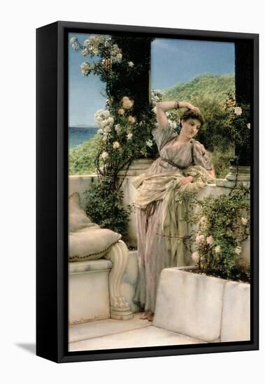 Rose of All Roses-Sir Lawrence Alma-Tadema-Framed Premier Image Canvas