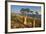 Rose of Desert (Adenium Obesum Ssp. Sokotranum), Dihamri Beach, Socotra Island, Yemen, Middle East-Bruno Morandi-Framed Photographic Print