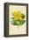 Rose of Sharon-Frederick Edward Hulme-Framed Premier Image Canvas