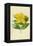 Rose of Sharon-Frederick Edward Hulme-Framed Premier Image Canvas