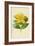 Rose of Sharon-Frederick Edward Hulme-Framed Giclee Print