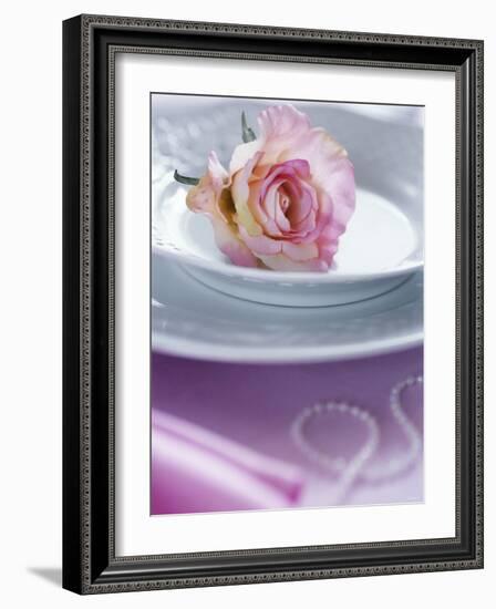 Rose on a Plate as Table Decoration-Alena Hrbkova-Framed Photographic Print