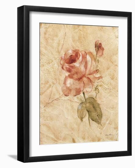 Rose on Cracked Linen-Cheri Blum-Framed Art Print