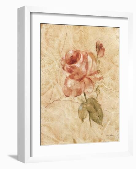 Rose on Cracked Linen-Cheri Blum-Framed Art Print