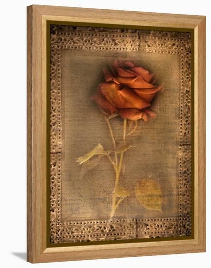 Rose on Fabric-Robert Cattan-Framed Premier Image Canvas