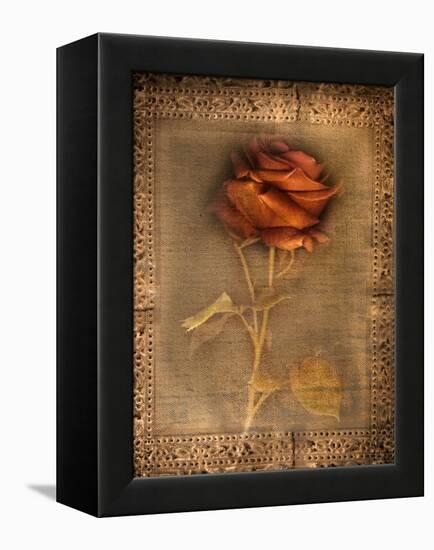 Rose on Fabric-Robert Cattan-Framed Premier Image Canvas