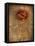 Rose on Fabric-Robert Cattan-Framed Premier Image Canvas