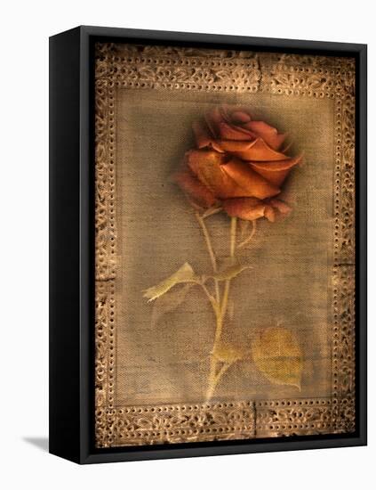 Rose on Fabric-Robert Cattan-Framed Premier Image Canvas
