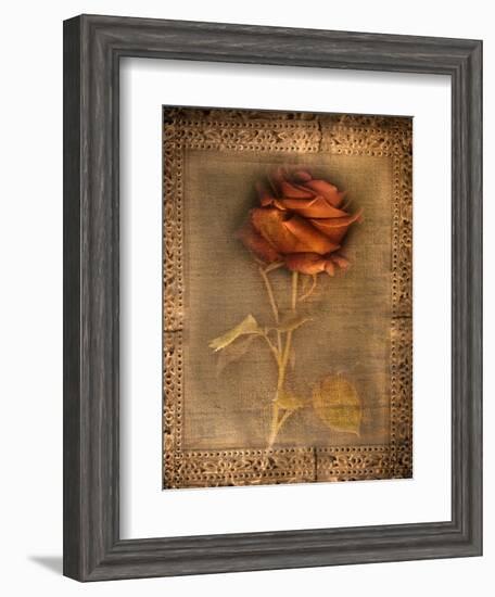 Rose on Fabric-Robert Cattan-Framed Photographic Print