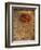 Rose on Fabric-Robert Cattan-Framed Photographic Print