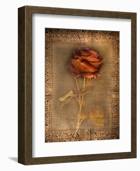 Rose on Fabric-Robert Cattan-Framed Photographic Print