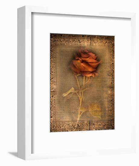 Rose on Fabric-Robert Cattan-Framed Photographic Print