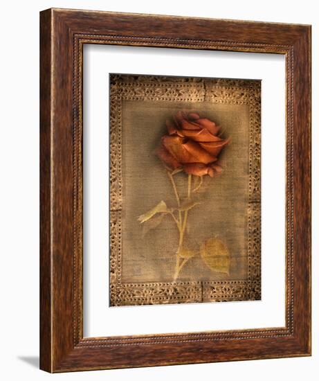 Rose on Fabric-Robert Cattan-Framed Photographic Print