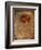 Rose on Fabric-Robert Cattan-Framed Photographic Print