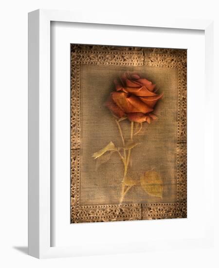 Rose on Fabric-Robert Cattan-Framed Photographic Print