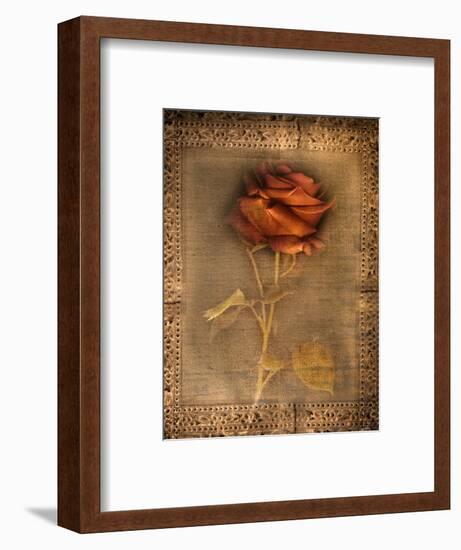 Rose on Fabric-Robert Cattan-Framed Photographic Print