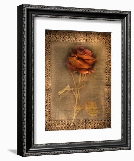 Rose on Fabric-Robert Cattan-Framed Photographic Print