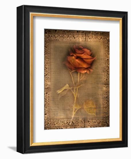 Rose on Fabric-Robert Cattan-Framed Photographic Print
