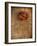 Rose on Fabric-Robert Cattan-Framed Photographic Print