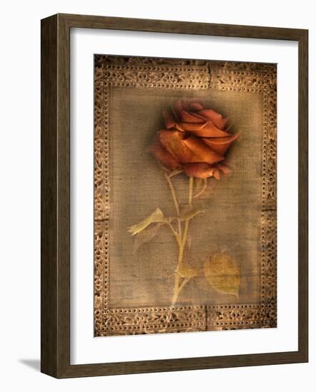 Rose on Fabric-Robert Cattan-Framed Photographic Print