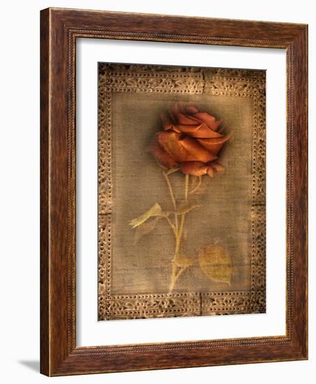 Rose on Fabric-Robert Cattan-Framed Photographic Print