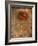 Rose on Fabric-Robert Cattan-Framed Photographic Print