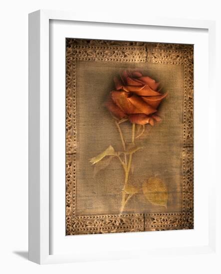 Rose on Fabric-Robert Cattan-Framed Photographic Print