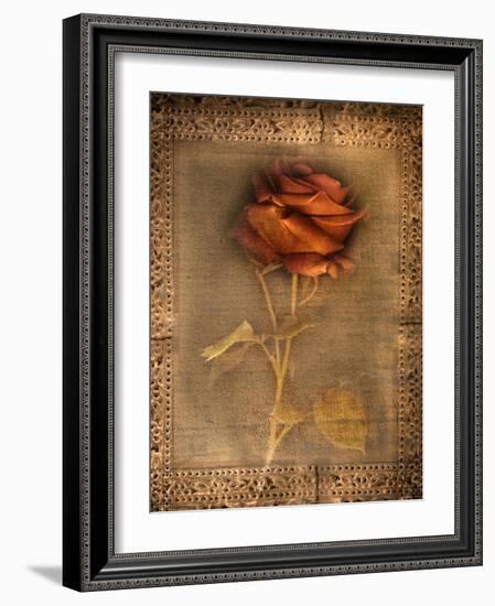 Rose on Fabric-Robert Cattan-Framed Photographic Print