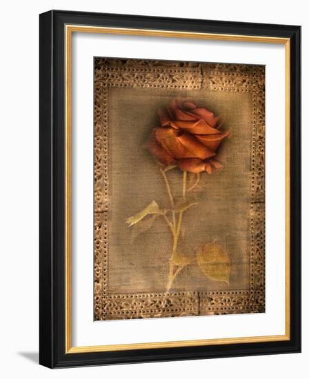 Rose on Fabric-Robert Cattan-Framed Photographic Print