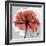 Rose on Gray 1-Albert Koetsier-Framed Premium Giclee Print