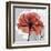 Rose on Gray 1-Albert Koetsier-Framed Art Print