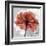 Rose on Gray 1-Albert Koetsier-Framed Art Print