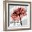 Rose on Gray 2-Albert Koetsier-Framed Art Print