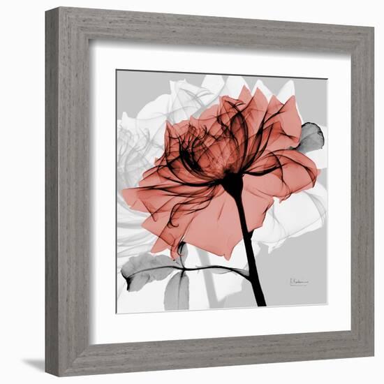 Rose on Gray 2-Albert Koetsier-Framed Art Print