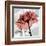 Rose on Gray 2-Albert Koetsier-Framed Art Print