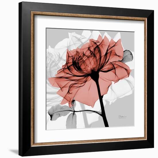 Rose on Gray 2-Albert Koetsier-Framed Art Print