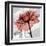 Rose on Gray 2-Albert Koetsier-Framed Art Print